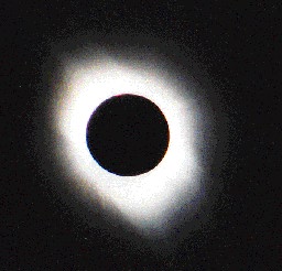 [Photo of Corona]